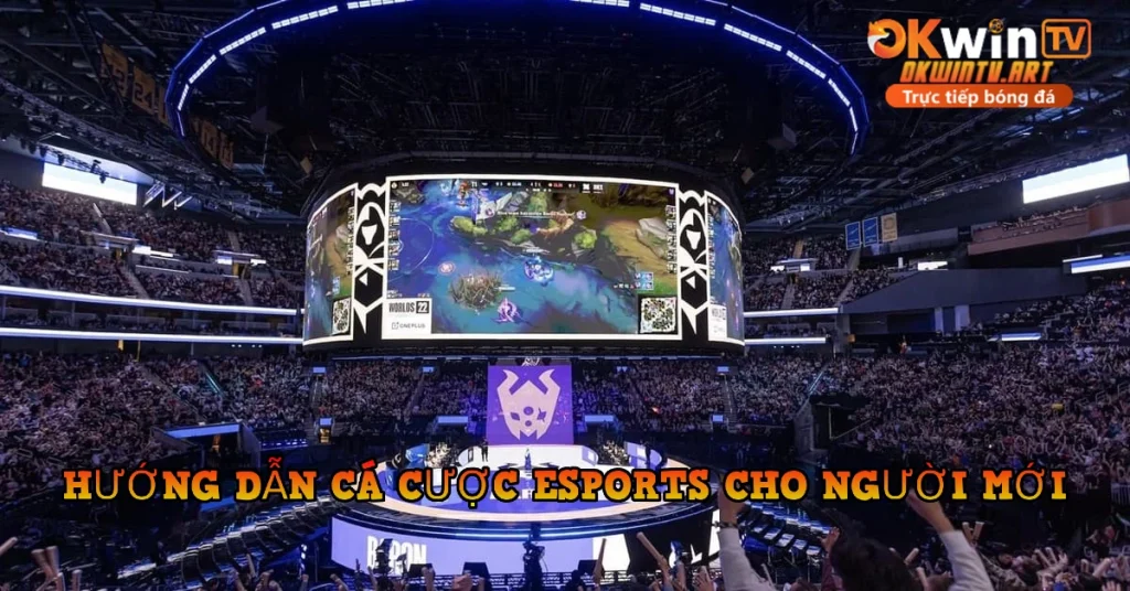 Hướng Dẫn Cá Cược Esports Cho Người Mới